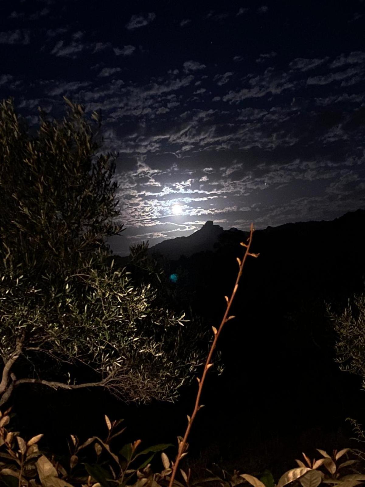 Villa Rosa In Surrau Arzachena Dış mekan fotoğraf